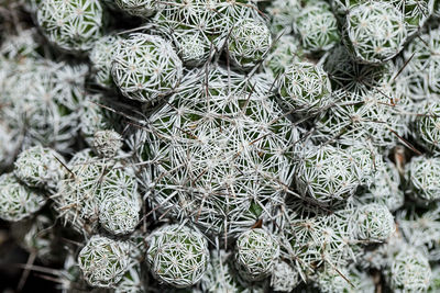 Full frame shot of pattern
