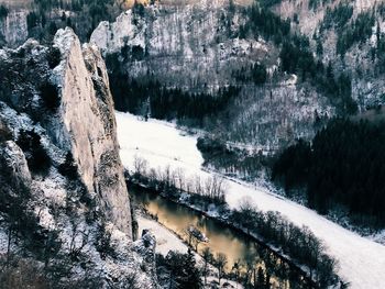 Reflection of trees in lake during winter