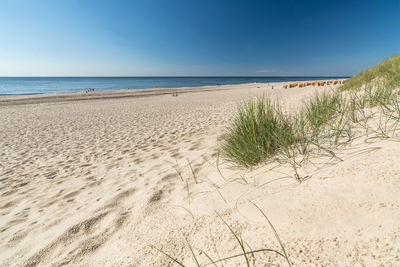 Scenic view of beach against clear sky