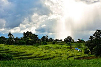 Scenic view of landscape against cloudy sky