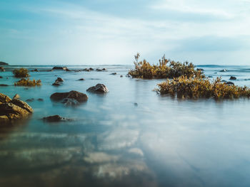 Scenic view of sea against sky