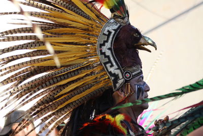 Close-up of a bird