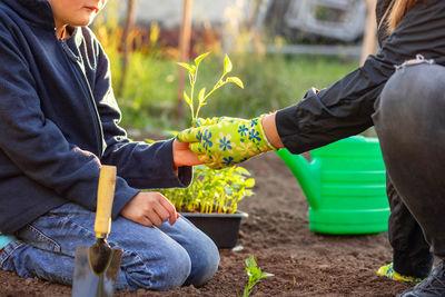 Midsection of man gardening