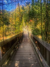 Narrow footbridge along trees in forest