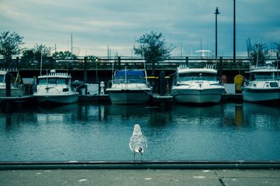 Boats moored in canal against sky