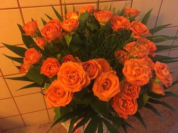 Close-up of orange flowers