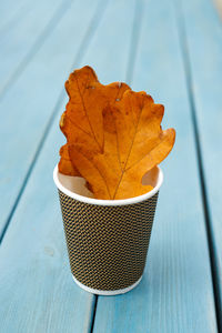 An autumn yellow oak leaf in a paper a cup