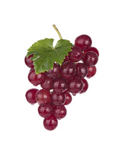 Close-up of red berries over white background