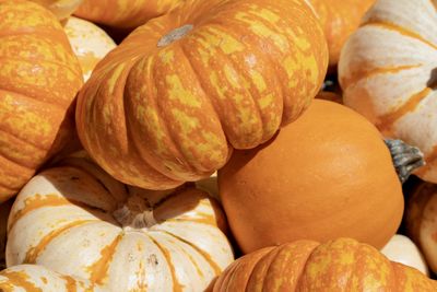 Full frame shot of pumpkins for sale at market stall