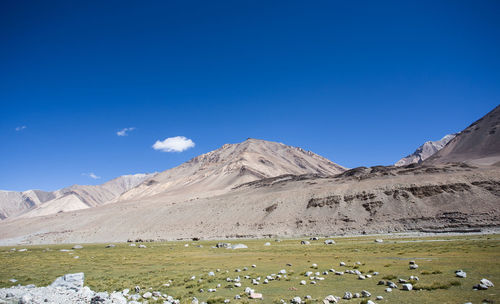 Scenic view of mountains against clear blue sky