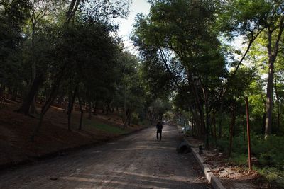 Rear view of a man walking on road