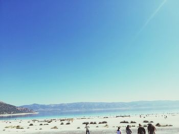 People on beach against clear blue sky