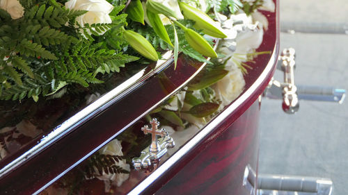 High angle view of plants in glass container