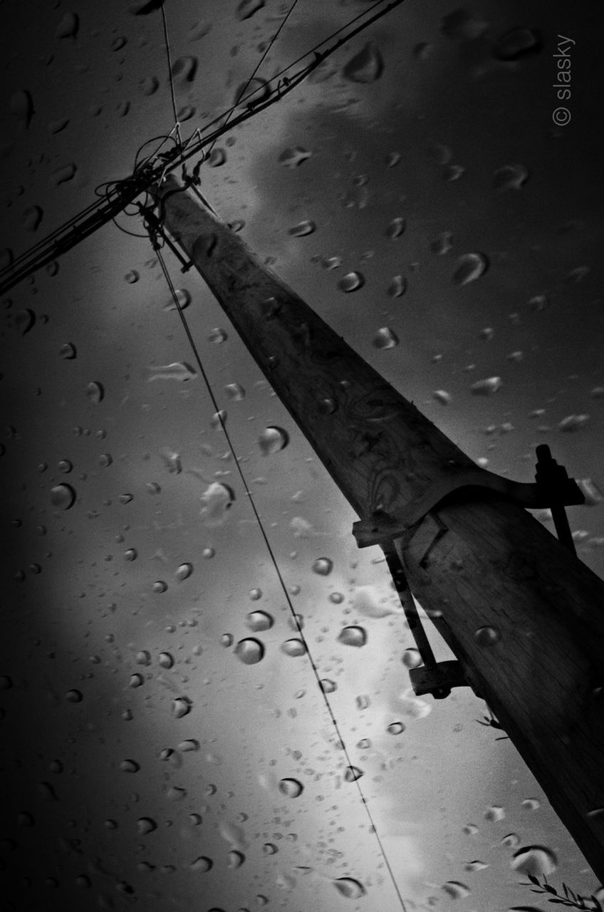 wet, water, rain, drop, transportation, street, weather, mode of transport, sky, window, silhouette, monsoon, day, dusk, outdoors, reflection, high angle view, animal themes, no people