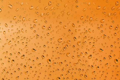 Full frame shot of wet glass against orange background