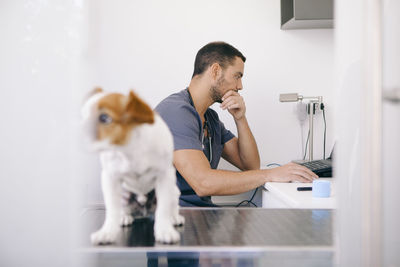 Veterinarian using computer while puppy sitting on table