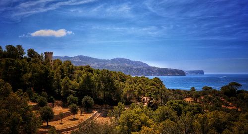 Scenic view of sea and trees against sky