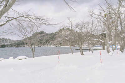 Bare trees on snow covered land against sky