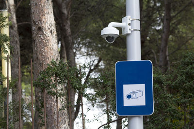 Information sign by tree trunk