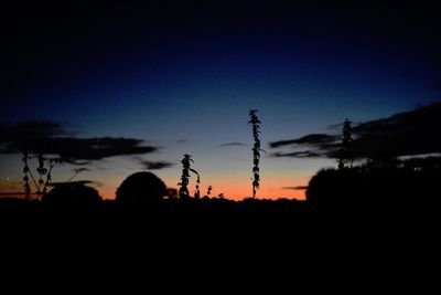 Low angle view of silhouette trees against sky at night