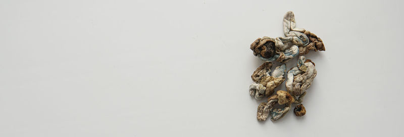 High angle view of crab on table against white background