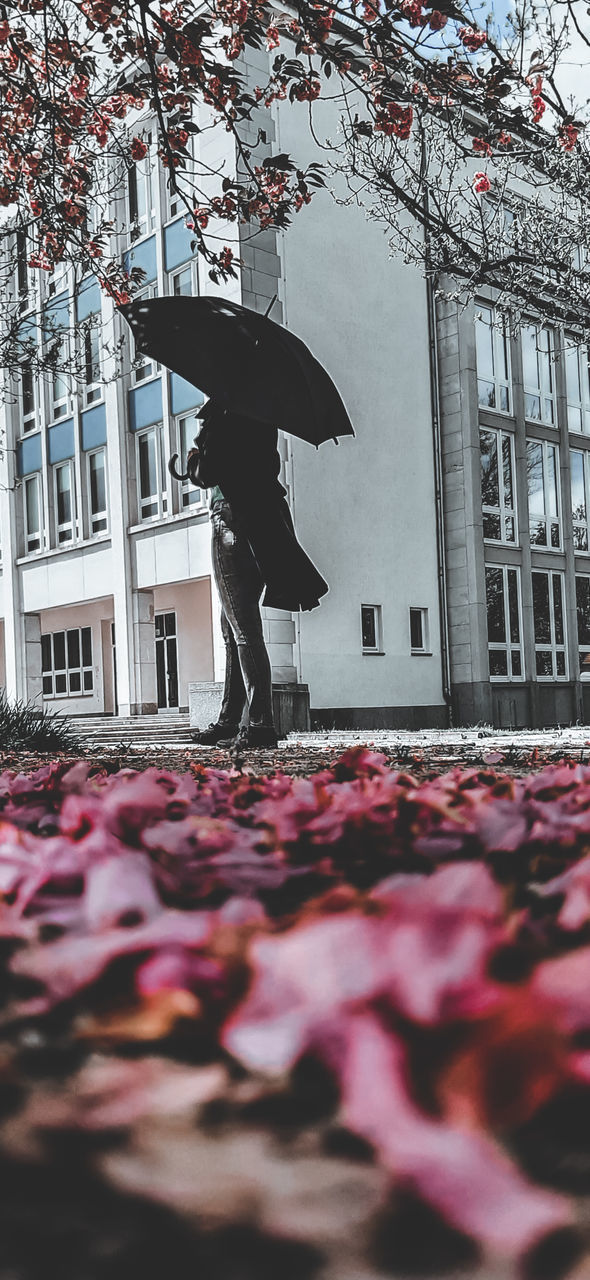 architecture, umbrella, building exterior, nature, built structure, plant, one person, city, flower, tree, day, red, adult, outdoors, autumn, full length, protection, street, building, winter, men, spring, art, lifestyles, rain, walking, person, plant part, city life, leaf, clothing, standing