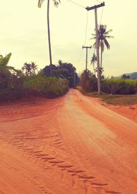 Road by trees on beach against sky