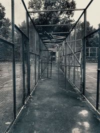 Empty road amidst trees and abandoned building