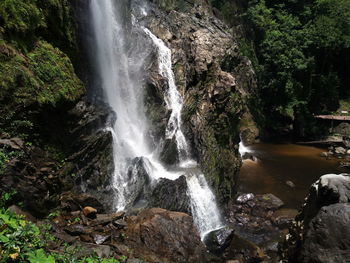 Scenic view of waterfall in forest