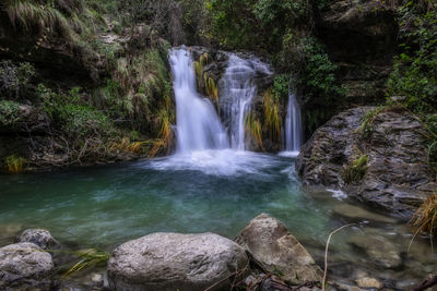 Scenic view of waterfall in forest