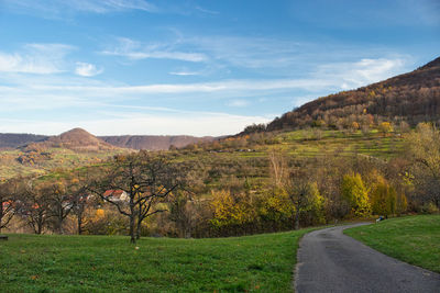 Scenic view of road amidst field against sky