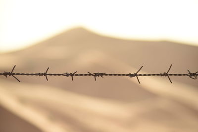 Close-up of barbed wire fence against sky