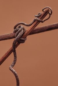 Close-up of rope tied to metal