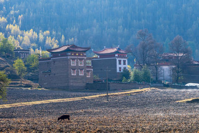 Buildings in city