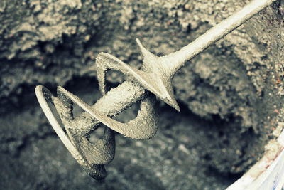 High angle view of a lizard on metal