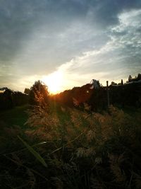 Scenic view of field against sky during sunset