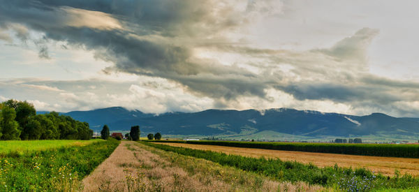 Scenic view of agricultural field against sky