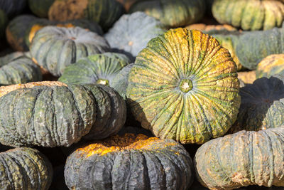 Full frame shot of pumpkins at market stall