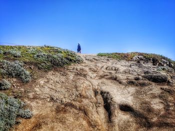 Scenic view of landscape against clear blue sky