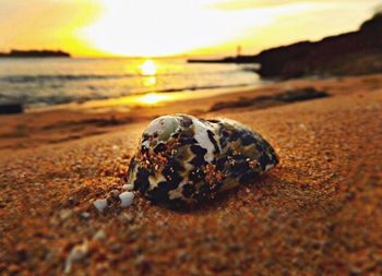 Close-up of stones on beach