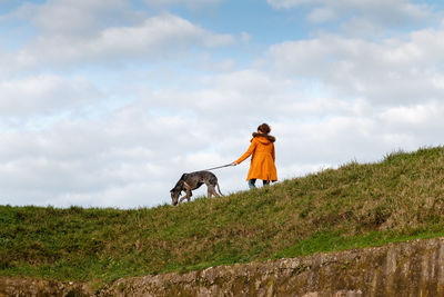 View of a dog on field