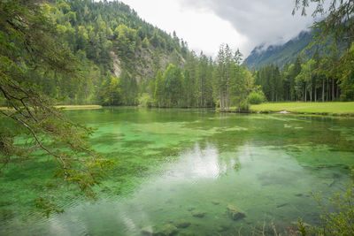 Scenic view of lake by trees against sky