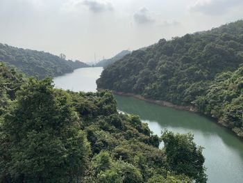 Scenic view of river amidst trees in forest against sky