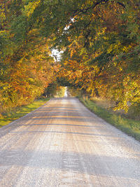 Road amidst trees during autumn