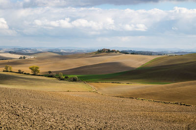 Scenic view of agricultural field against sky