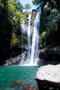 View of waterfall in forest