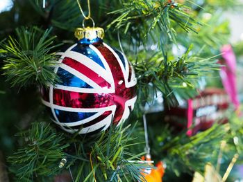 Close-up of christmas decoration hanging on tree