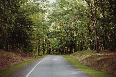 Empty road amidst trees in forest