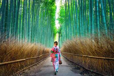 Woman walking on road amidst bamboo plants in forest