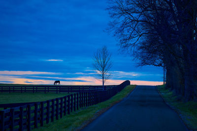 Empty road amidst trees against sky during sunset